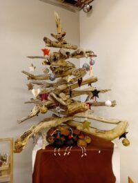 580543969 1476170243937361 8391688826679672313 n